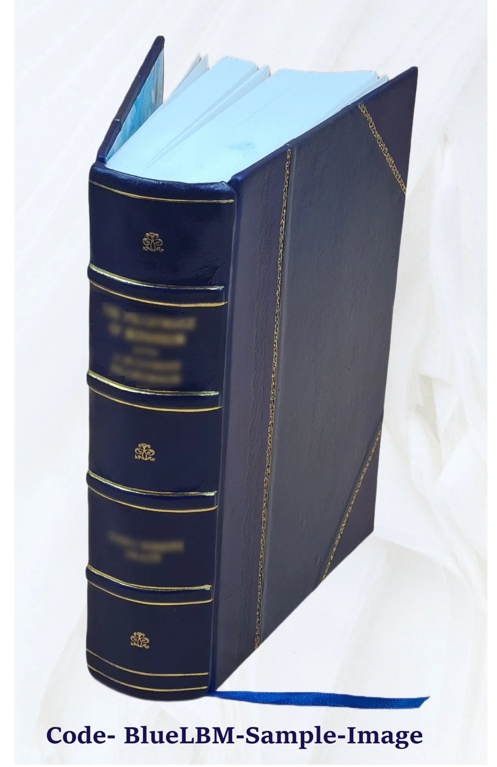 Li romans de Claris et Laris Volume 169 1884 [Leather Bound]