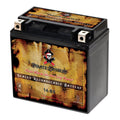 Pirate Battery YTX14- (14- 12 Volt,12 Ah, 200 ) Motorcycle Battery for Honda 1100cc Vt1100c, C3, T Shadow (spirit, Aero, A. C. E. Tourer) 2006