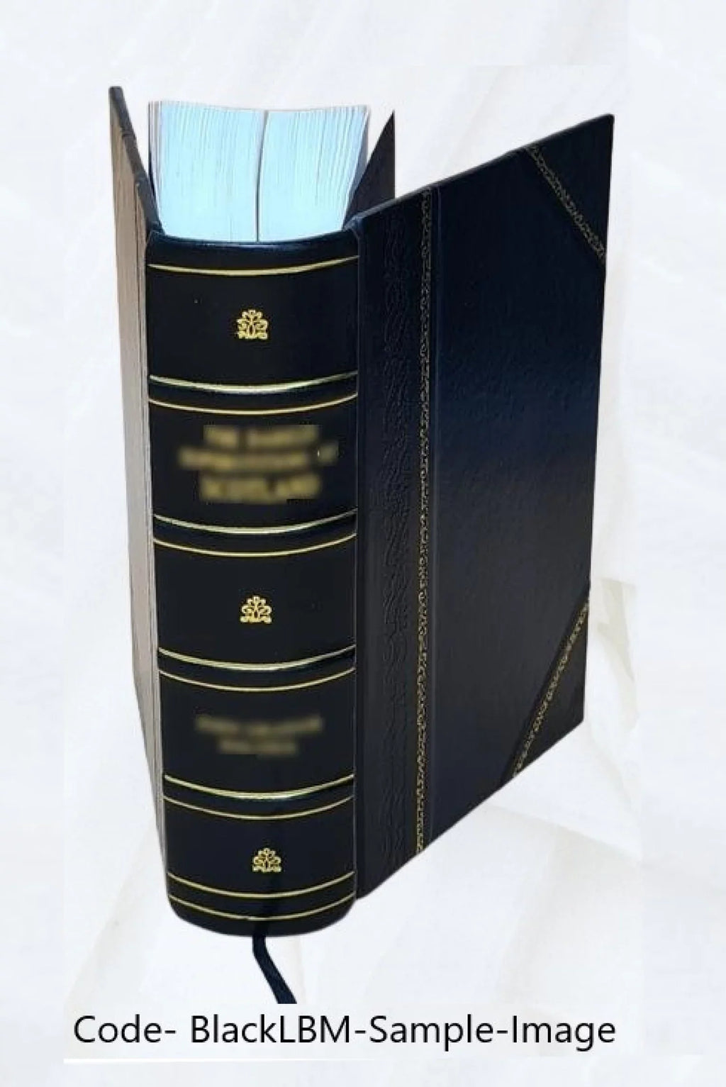 Li romans de Claris et Laris Volume 169 1884 [Leather Bound]