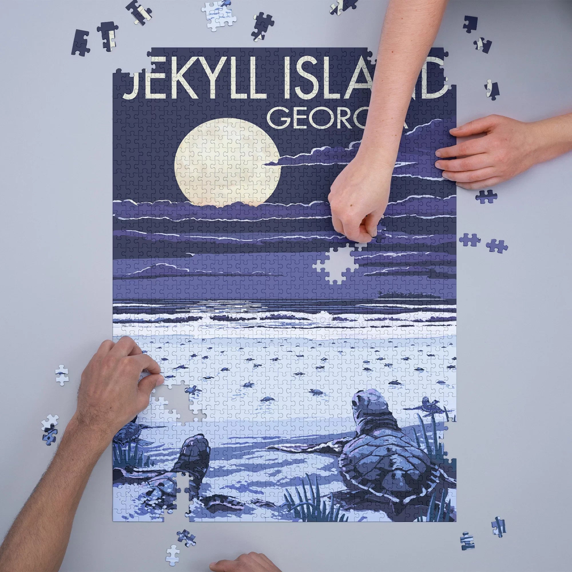 Jekyll Island, Georgia, Turtles Hatching (1000 Piece Puzzle, Size 19x27, Challenging Jigsaw Puzzle for Adults and Family, Made in )