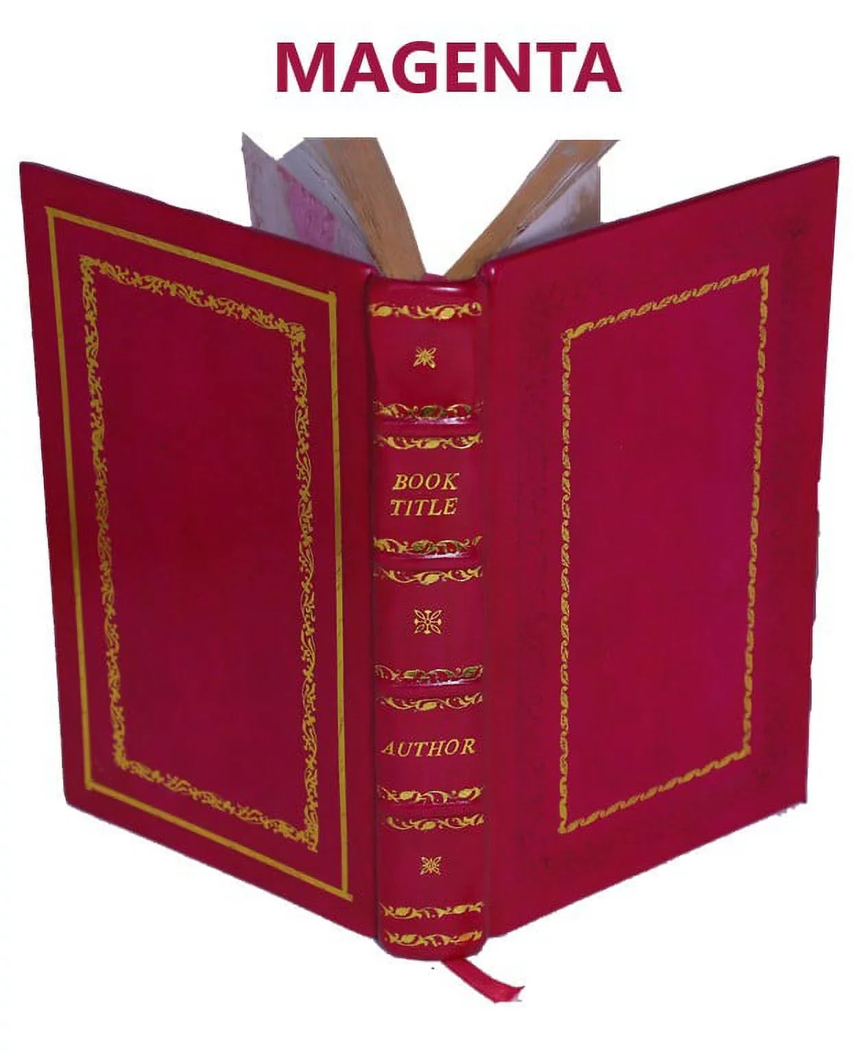 Letters Of The Right Honourable V. S. Srinivasa Sastri (1944) 1944 [Premium Leather Bound]