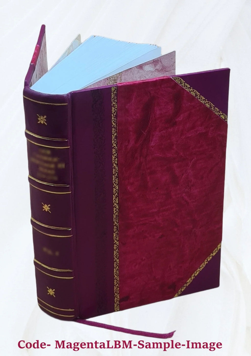 Opera omnia Volume v.17 1891 [Leather Bound]