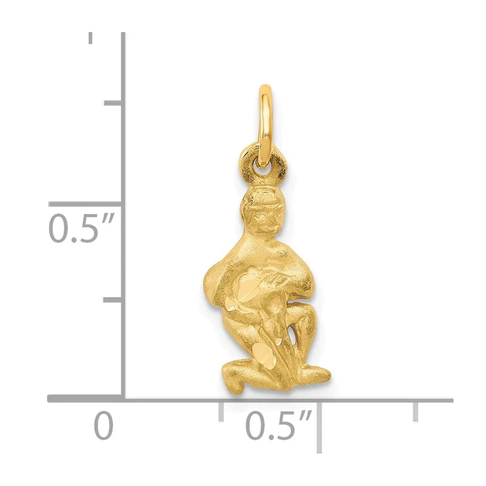 14k Satin Diamond-cut Aquarius Zodiac Charm QC486