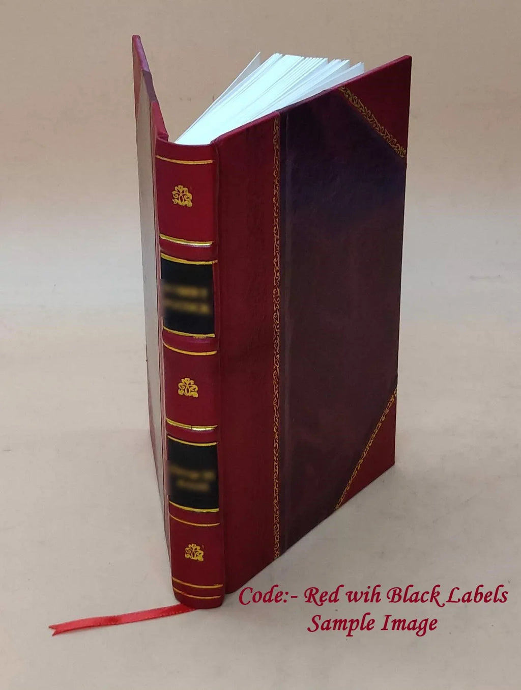 Sights and Insights Volume 1917 1917 [ ]