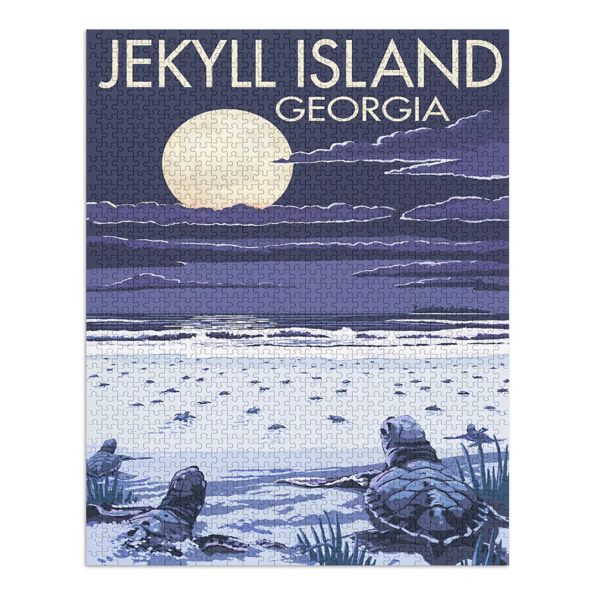 Jekyll Island, Georgia, Turtles Hatching (1000 Piece Puzzle, Size 19x27, Challenging Jigsaw Puzzle for Adults and Family, Made in )