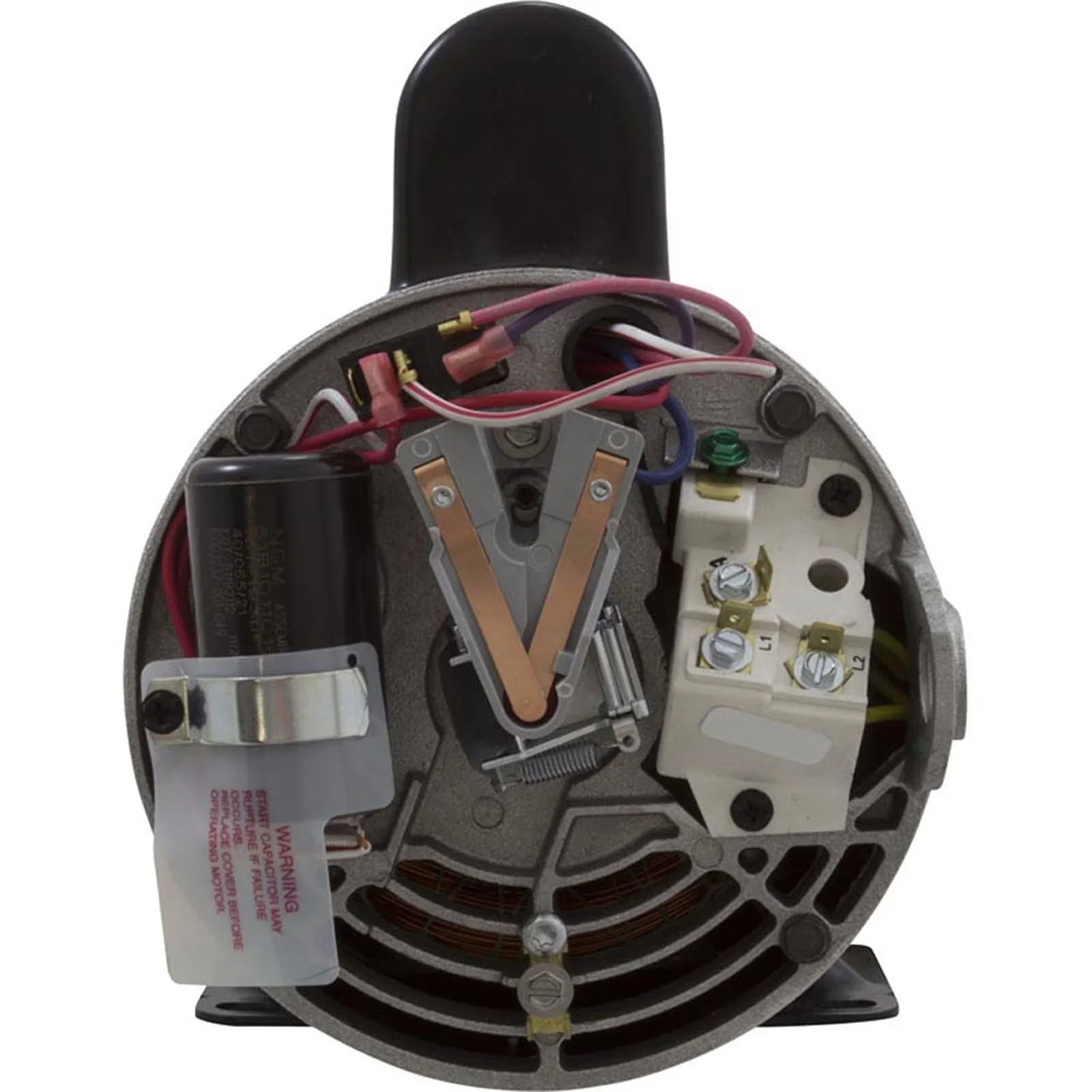Century A.O. Smith 56Y Thru-Bolt 4.0 or 0.50  Waterway Replacement Pump Motor, 12.0/4.4A 230V B2235