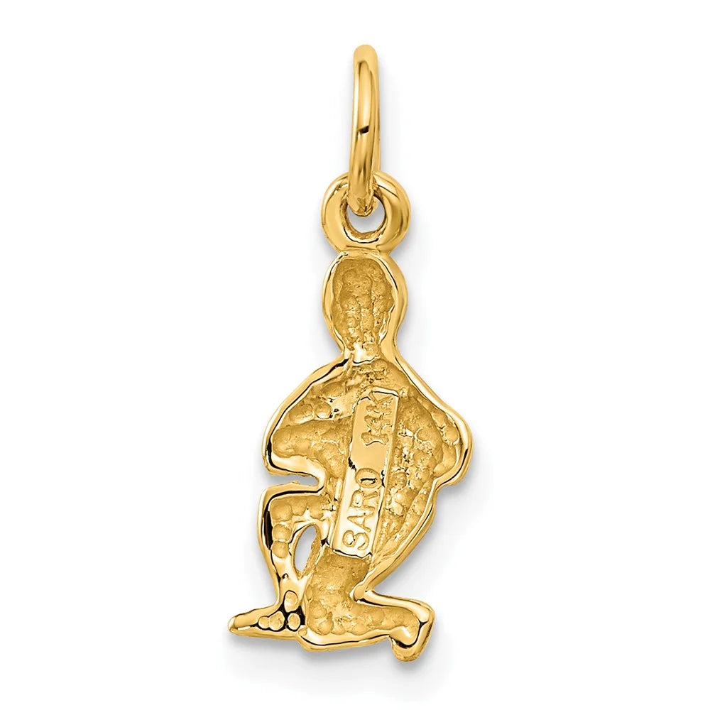 14k Satin Diamond-cut Aquarius Zodiac Charm QC486