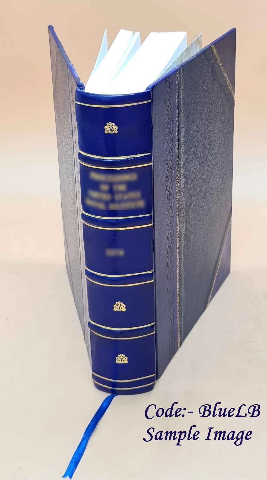 Sights and Insights Volume 1917 1917 [ ]