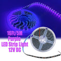 Lights Strip, Purple 300 LEDs Light Strips Kit for Bedroom, Home, Kitchen
