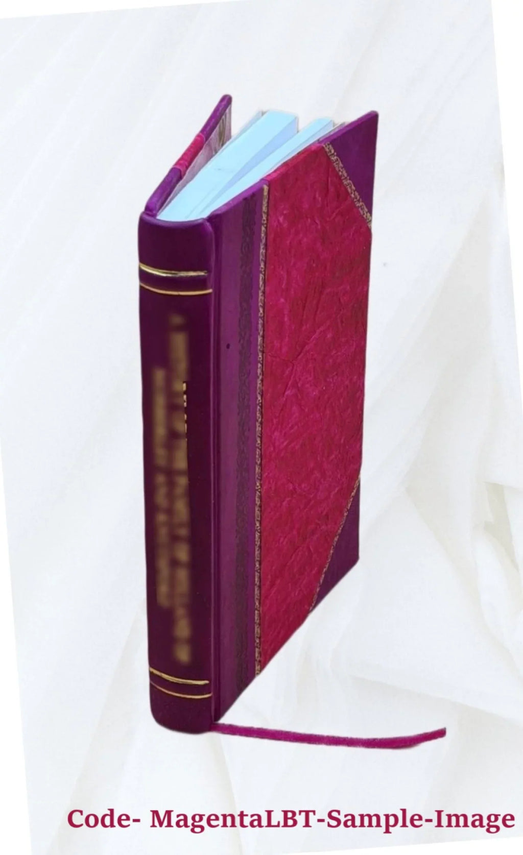 What the sam hill 1911 [Leather Bound]
