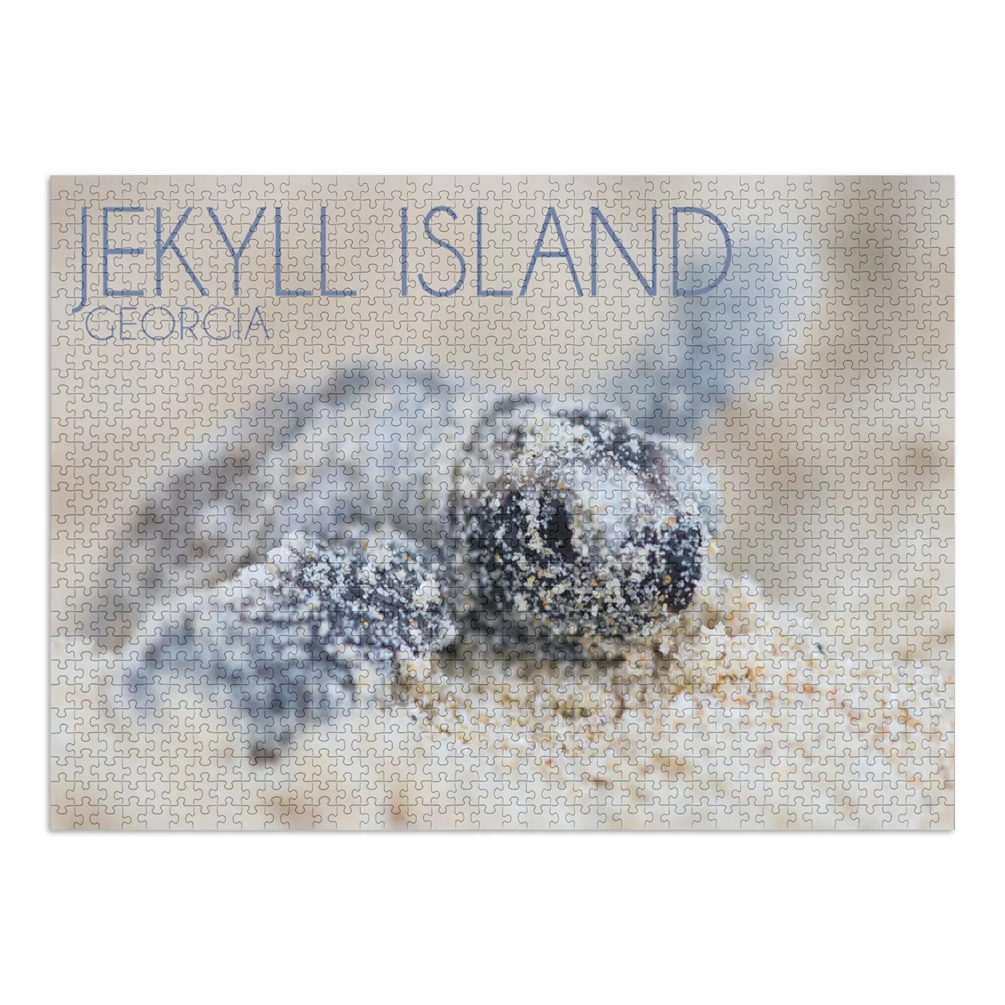 Jekyll Island, Georgia, Hawksbill Turtle Hatching (1000 Piece Puzzle, Size 19x27, Challenging Jigsaw Puzzle for Adults and Family, Made in )