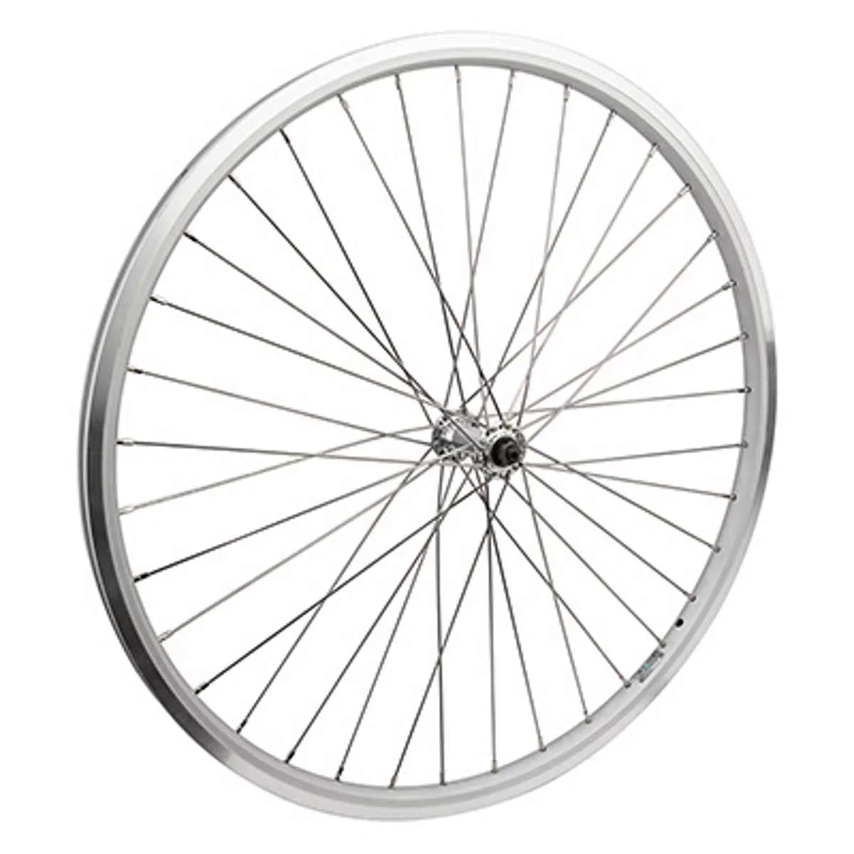 Wheel Masters Wheel  700 622 x 19 Ryde Stratos  36  AQ1000   100mm SS12GSL