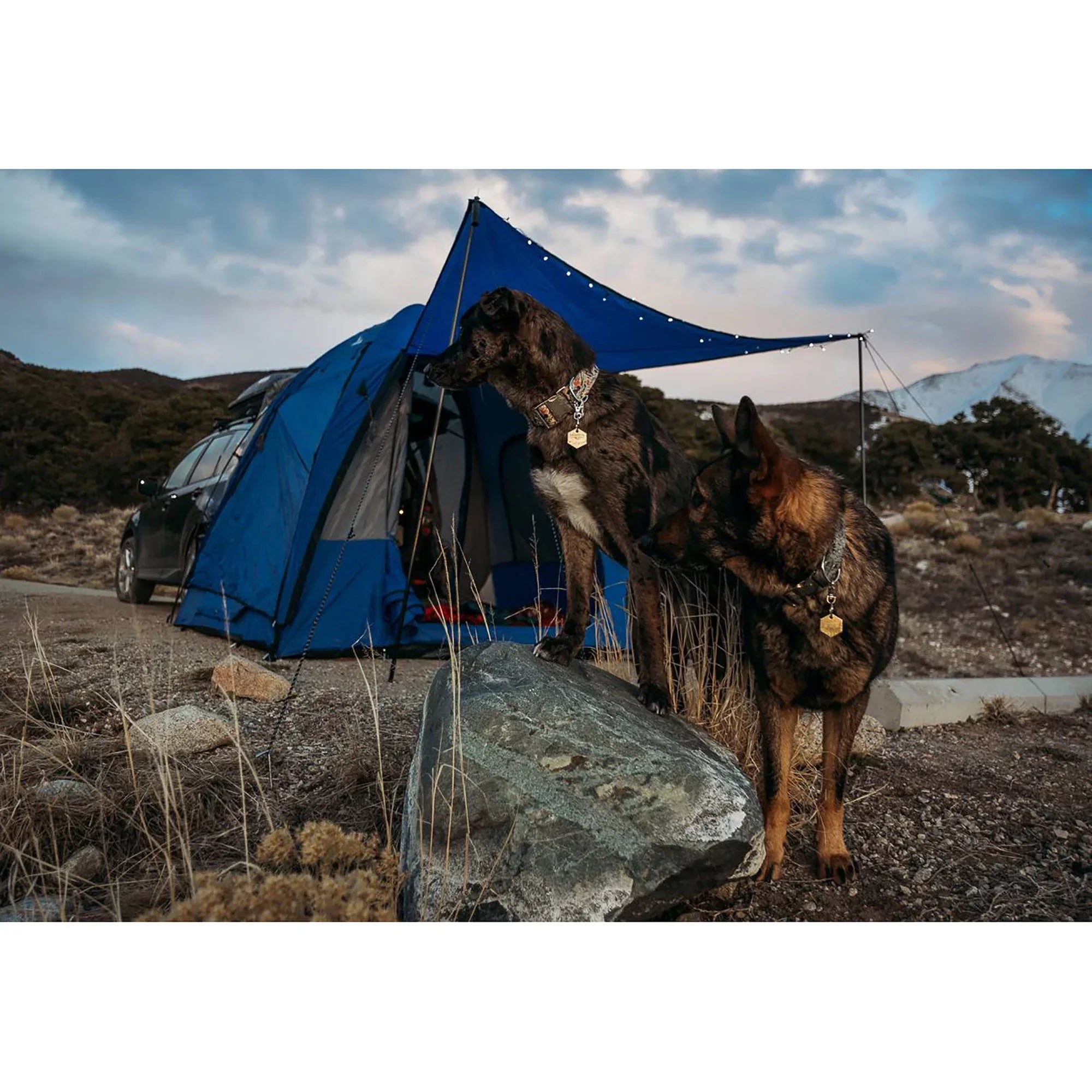 Napier Sportz Dome-To-Go Universal  Cargo 4 Person Camping Tent with Awning