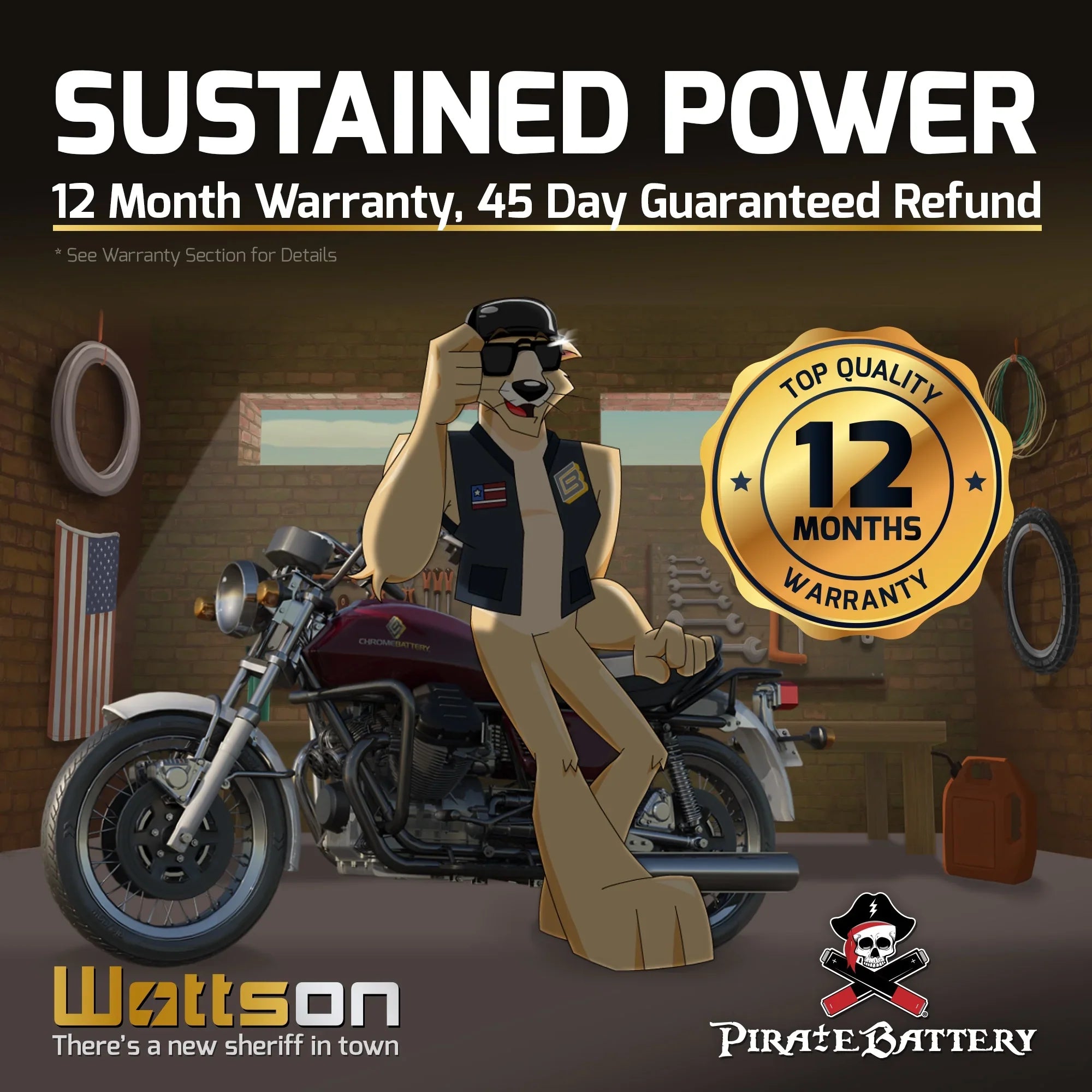 Pirate Battery YTX14- (14- 12 Volt,12 Ah, 200 ) Motorcycle Battery for Honda 1100cc Vt1100c, C3, T Shadow (spirit, Aero, A. C. E. Tourer) 2007