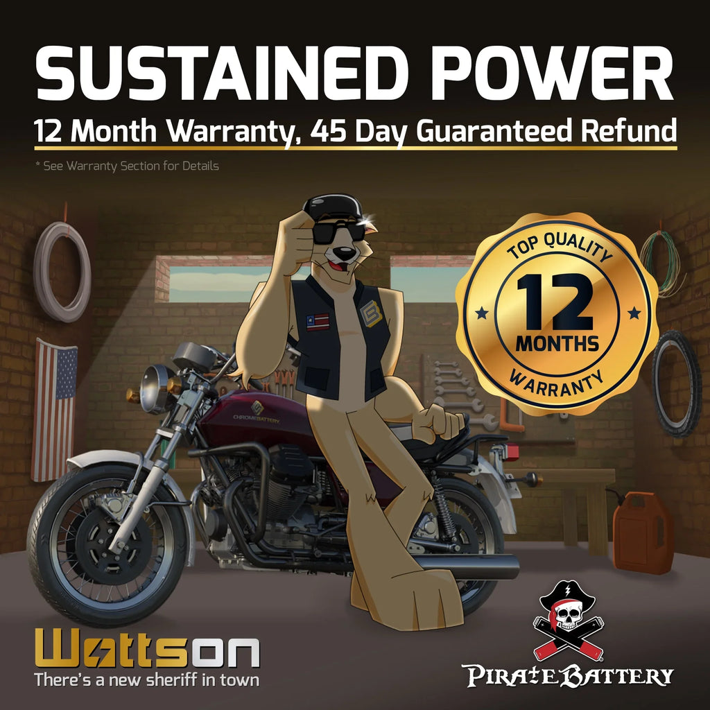 Pirate Battery YTX14- (14- 12 Volt,12 Ah, 200 ) Motorcycle Battery for Honda 1100cc Vt1100c, C3, T Shadow (spirit, Aero, A. C. E. Tourer) 2006