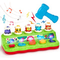 Montessori Toys for 1 Year Old, Early Developmental Sensory Toy for Toddlers 1-3, Learning Educational Toys 1 2 3 Year Old Boys Girls