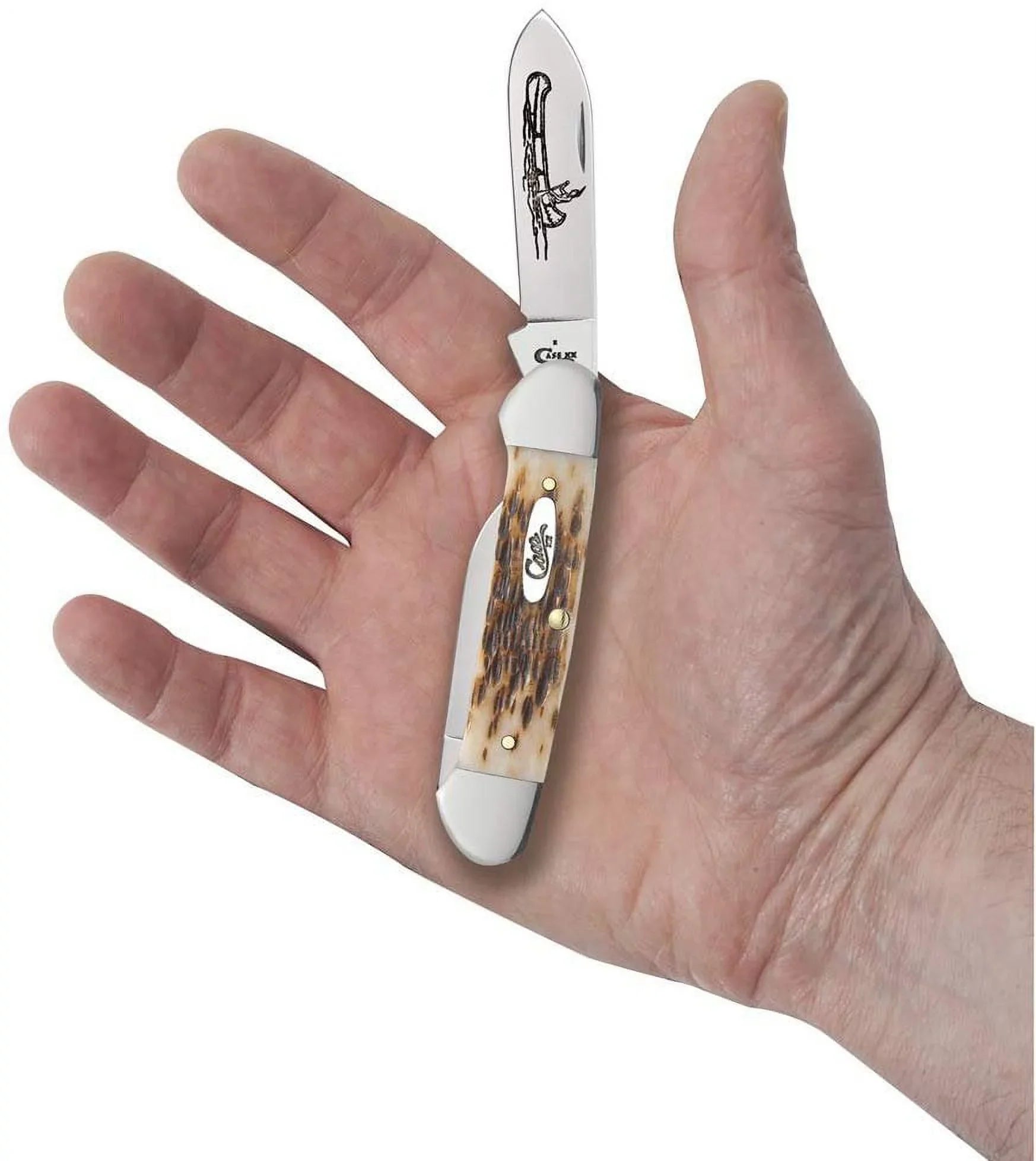 Case Amber Bone  Canoe Pocket Knife