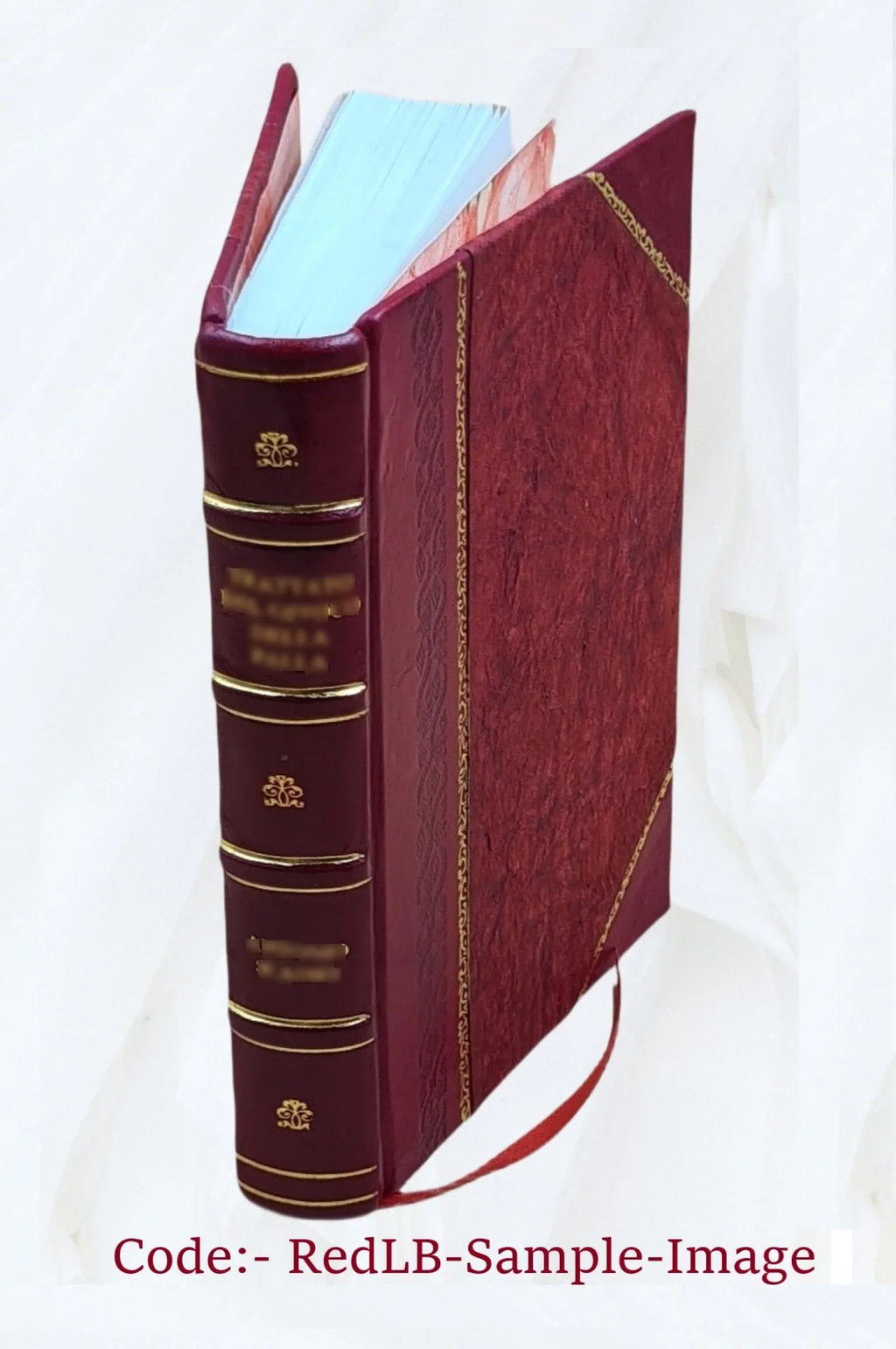 Sulpitii Severi Opera omnia quae extant 1643 [Leather Bound]
