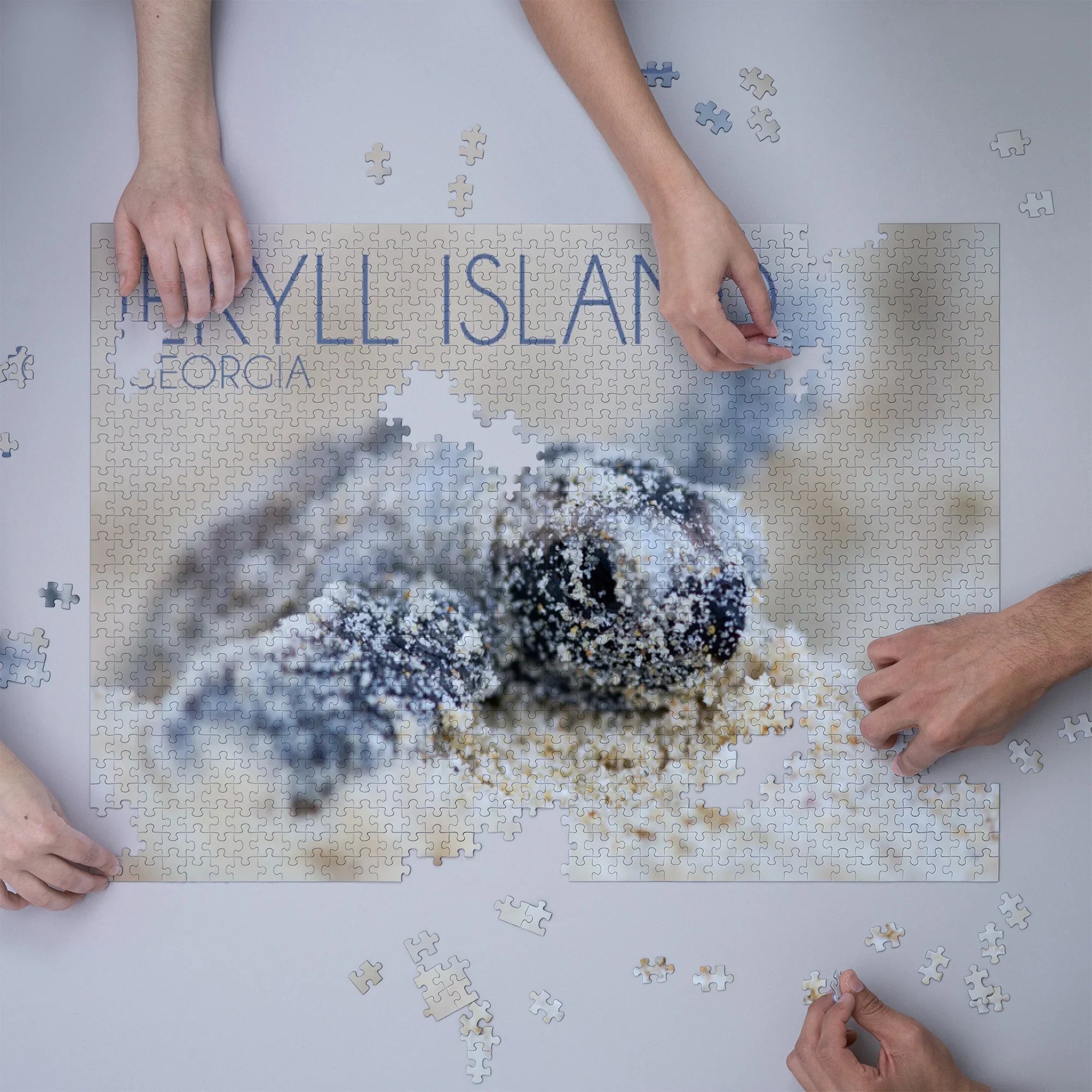 Jekyll Island, Georgia, Hawksbill Turtle Hatching (1000 Piece Puzzle, Size 19x27, Challenging Jigsaw Puzzle for Adults and Family, Made in )