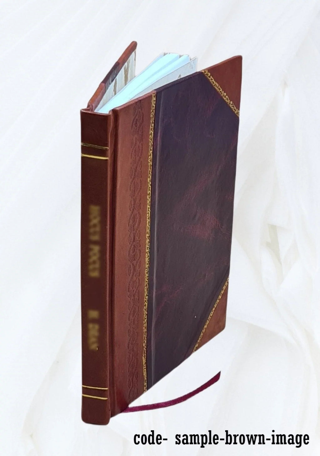 Clári saga 1907 [Leather Bound]