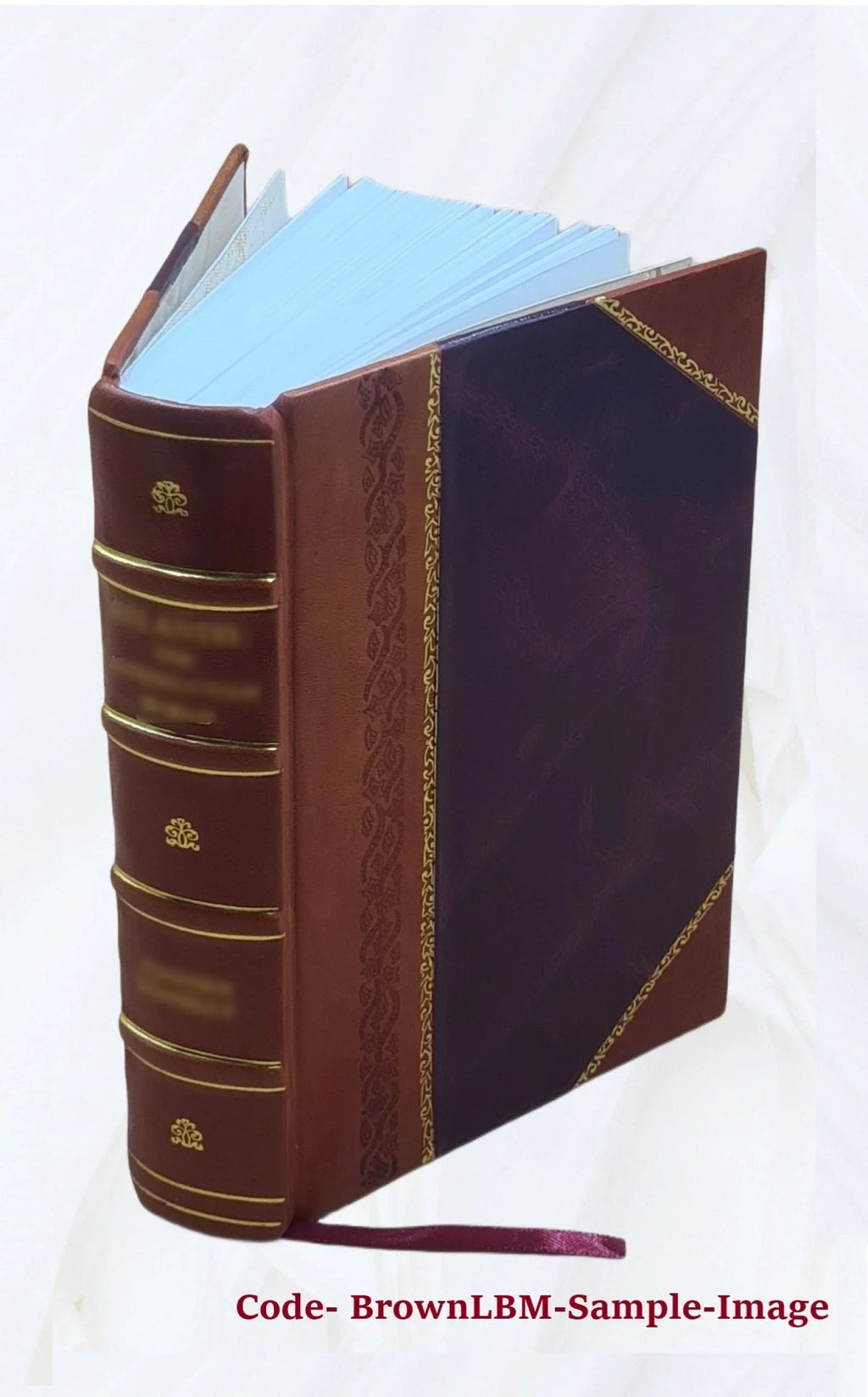 Li romans de Claris et Laris Volume 169 1884 [Leather Bound]